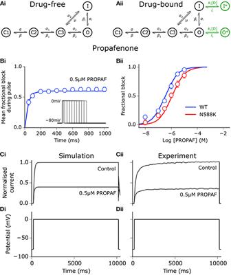 In silico Assessment of Pharmacotherapy for Human Atrial Patho-Electrophysiology Associated With hERG-Linked Short QT Syndrome